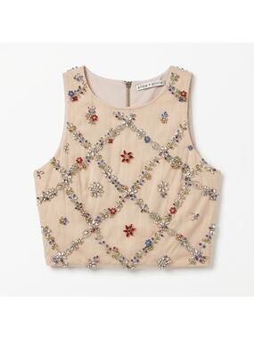 100% silk Jeweled Beaded Nude Crop Top | Multicolor Rhinestone Embellishment